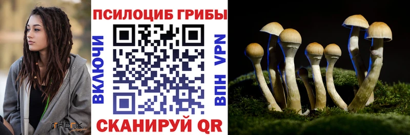 Галлюциногенные грибы мицелий  Верея 